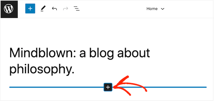 How to add a YouTube video gallery in WordPress