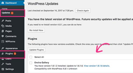 WordPress plugin update available