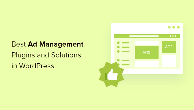 6 Best WordPress Ad Management Plugins and Solutions