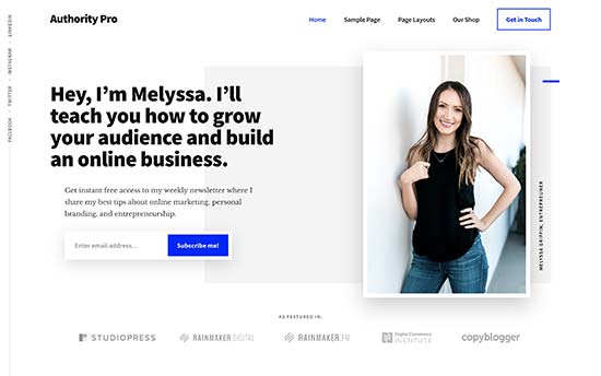 Wordpress Cv Theme Free