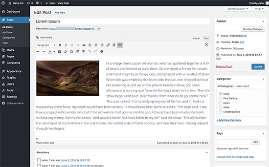 WordPress post editor