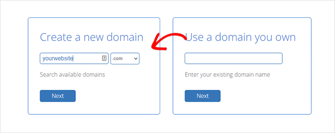 выбрать доменное имя