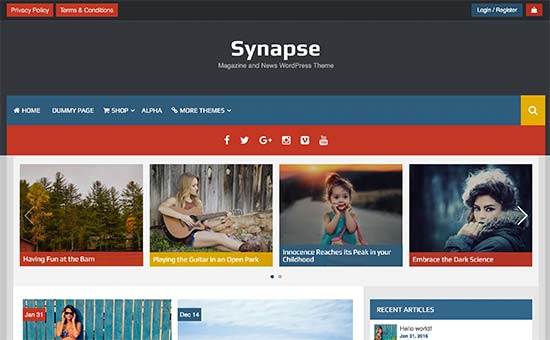 Synapse