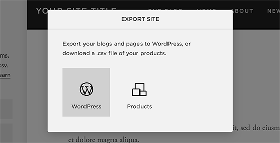 Export Squarespace data in WordPress format