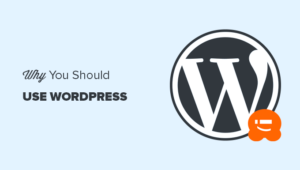 6 Important Reasons Why You Should Use WordPress For Your Website