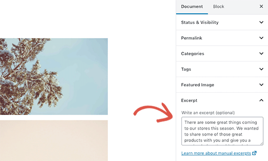 Adding excerpt to your WordPress post