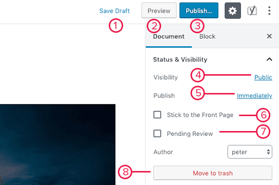 Publish options