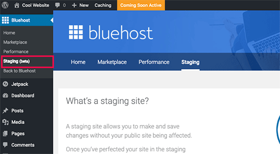 Creating a staging site in Bluehost