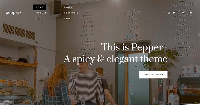 WebHostingExhibit pepper 24 Best WordPress Themes for Graphic Designers (2023)  