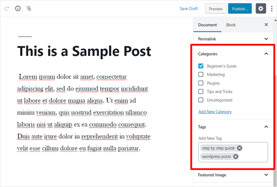 WordPress Post Categories Tags