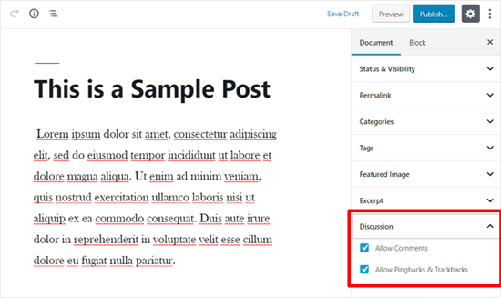 WordPress Post Comments Enabled