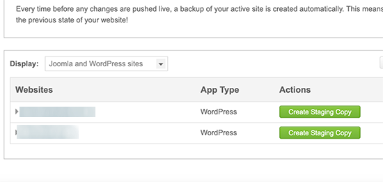 Create staging site copy