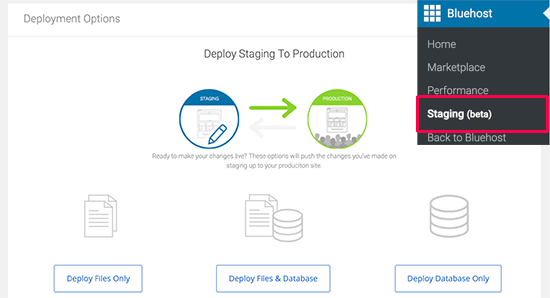 How To Easily Create A Staging Site For Wordpress Step By Step Images, Photos, Reviews