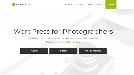 Imagely - компания по производству WordPress продуктов для фотографов