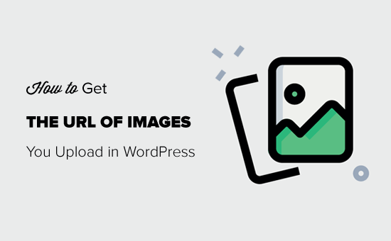 Cách nhận URL của hình ảnh bạn tải lên trong WordPress