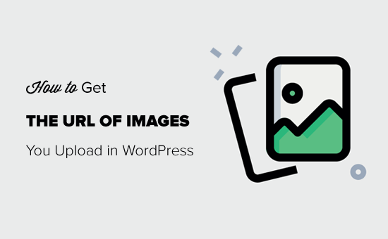 How to Get the URL of Images You Upload in WordPress