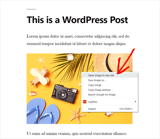 在新选项卡中打开WordPress图像