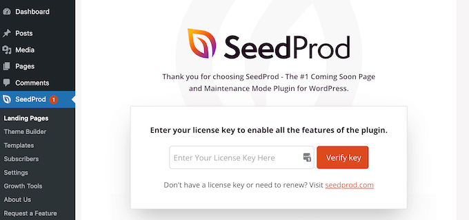 کلید مجوز SeedProd را وارد کنید