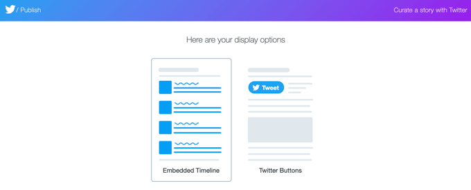 Twitter Publish Display Options