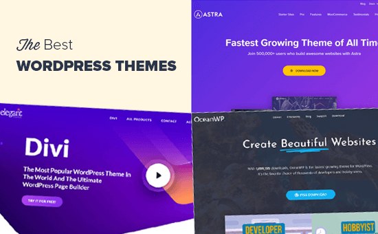 Best WordPress Themes