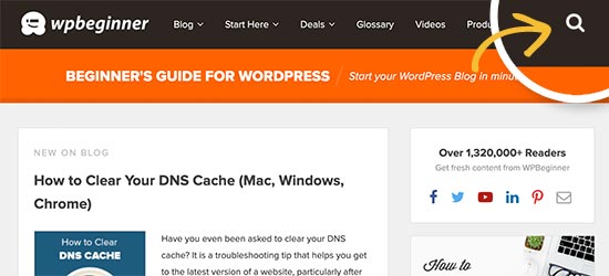 Search WPBeginner