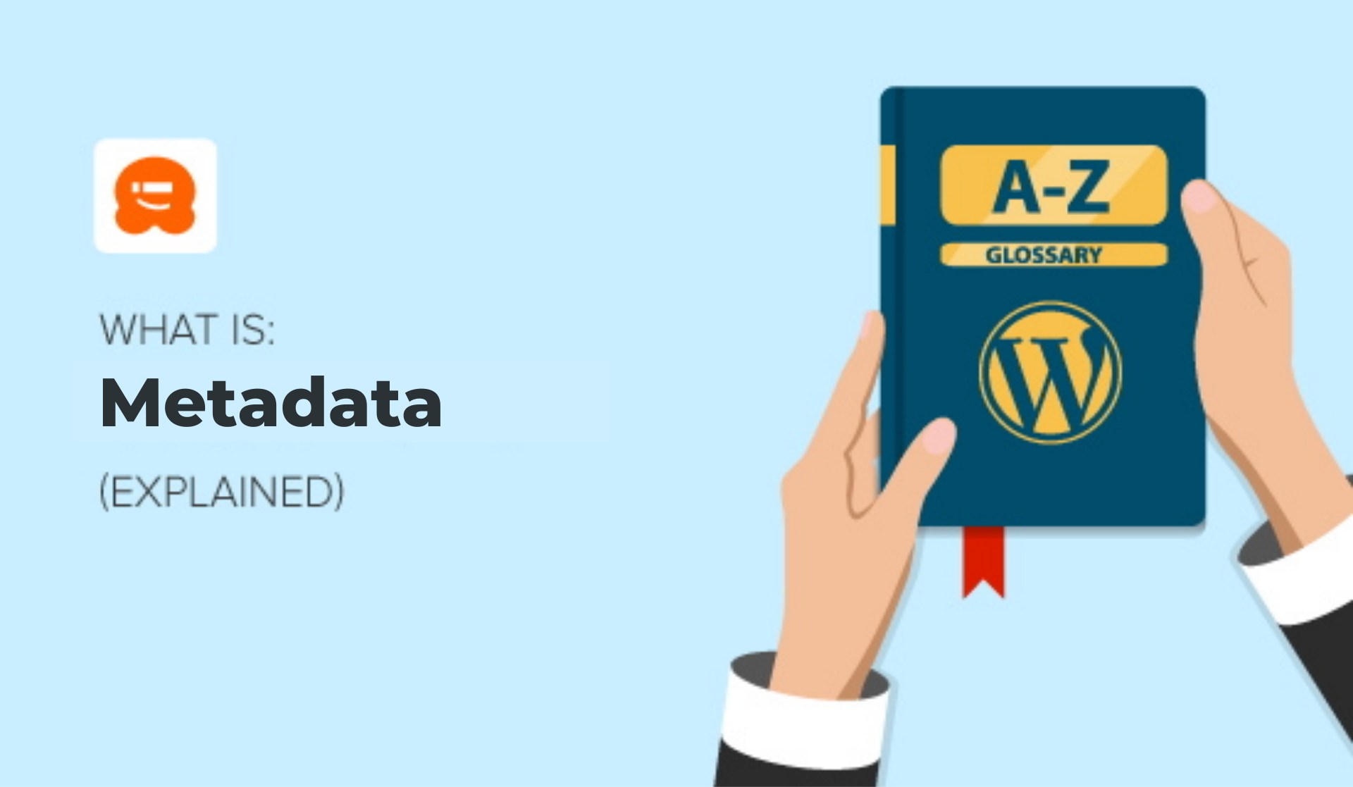 what-is-wordpress-metadata-and-meta-tags-for-beginners