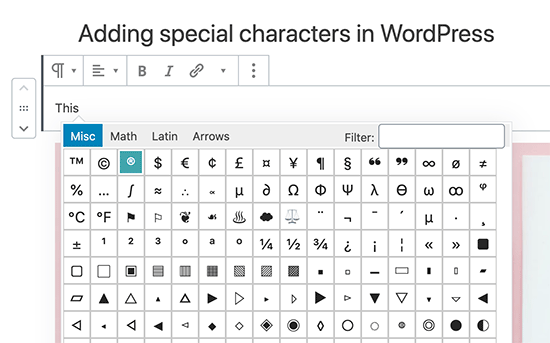 Aggiungi caratteri speciali nell'editor di blocchi Gutenberg WordPress