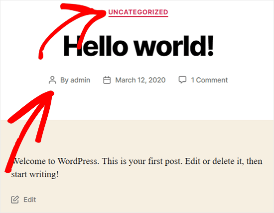 view wordpress metadata on front end