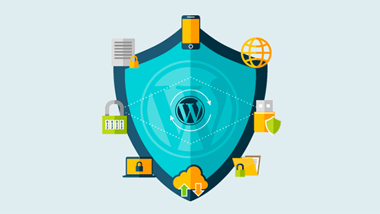 WordPress security