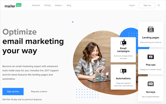 Autoresponder tool MailerLite's website