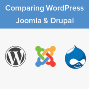 WordPress vs Joomla vs Drupal - Which One is Better?