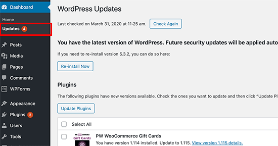 WordPress güncellemeleri