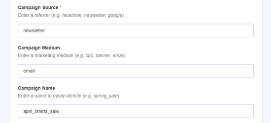 Entering the source, medium, and name for your campaign