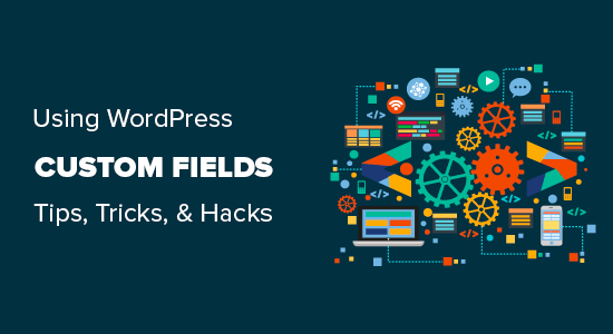 Using custom fields in WordPress with practical examples