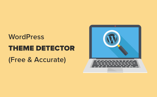 wordpress theme detector