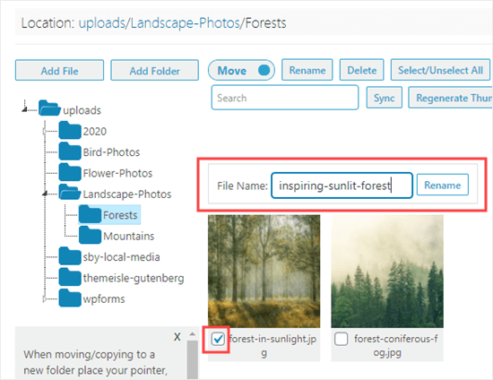 Media Library Folders Renaming Image