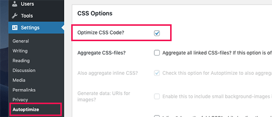 Ottimizza CSS in Autoptimize