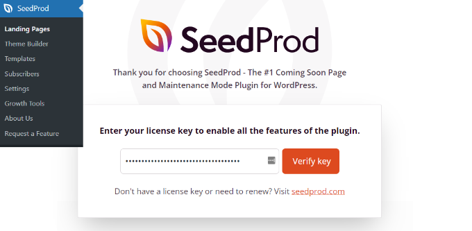 Введите лицензионный ключ SeedProd