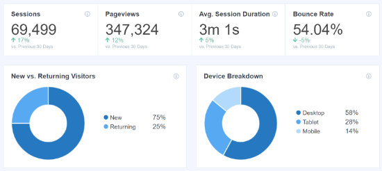 Report di panoramica di MonsterInsights