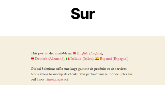 La pagina Informazioni, tradotta in francese