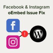 How to fix the Facebook and Instagram oEmbed issue in WordPress