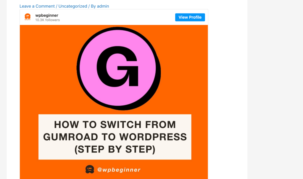 WordPress'teki bir Instagram gönderisine bir örnek