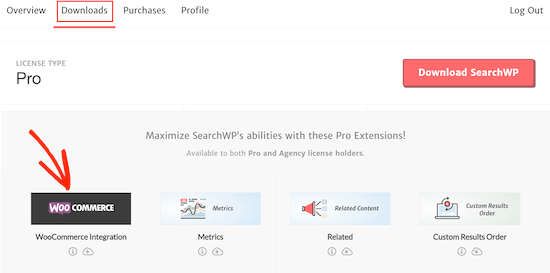 SearchWP's WooCommerce integration