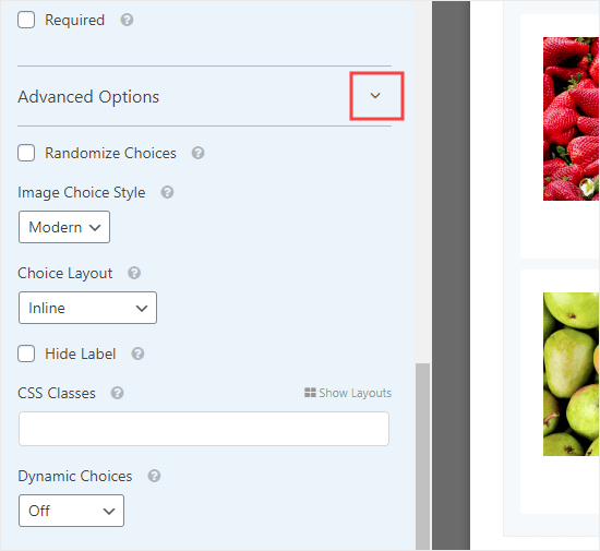 Advanced Options Image Choices