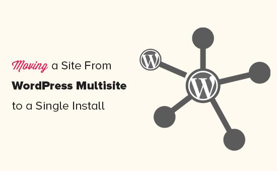 Splitting a site from WordPress multisite to single install