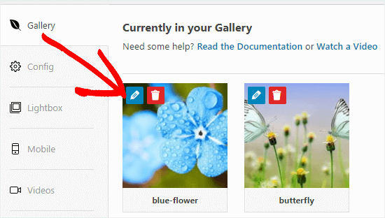Fai clic sul pulsante Modifica per modificare un'immagine nella tua galleria
