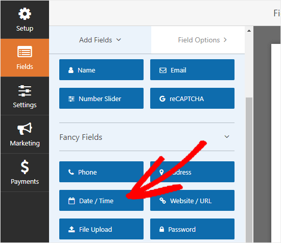 The Date / Time field under the Fancy Fields section