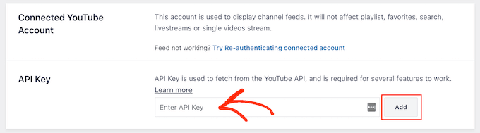 Fetch YouTube data using an API key