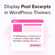 How to Display Post Excerpts in WordPress Themes