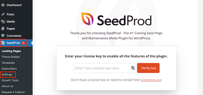 Entering your SeedProd license